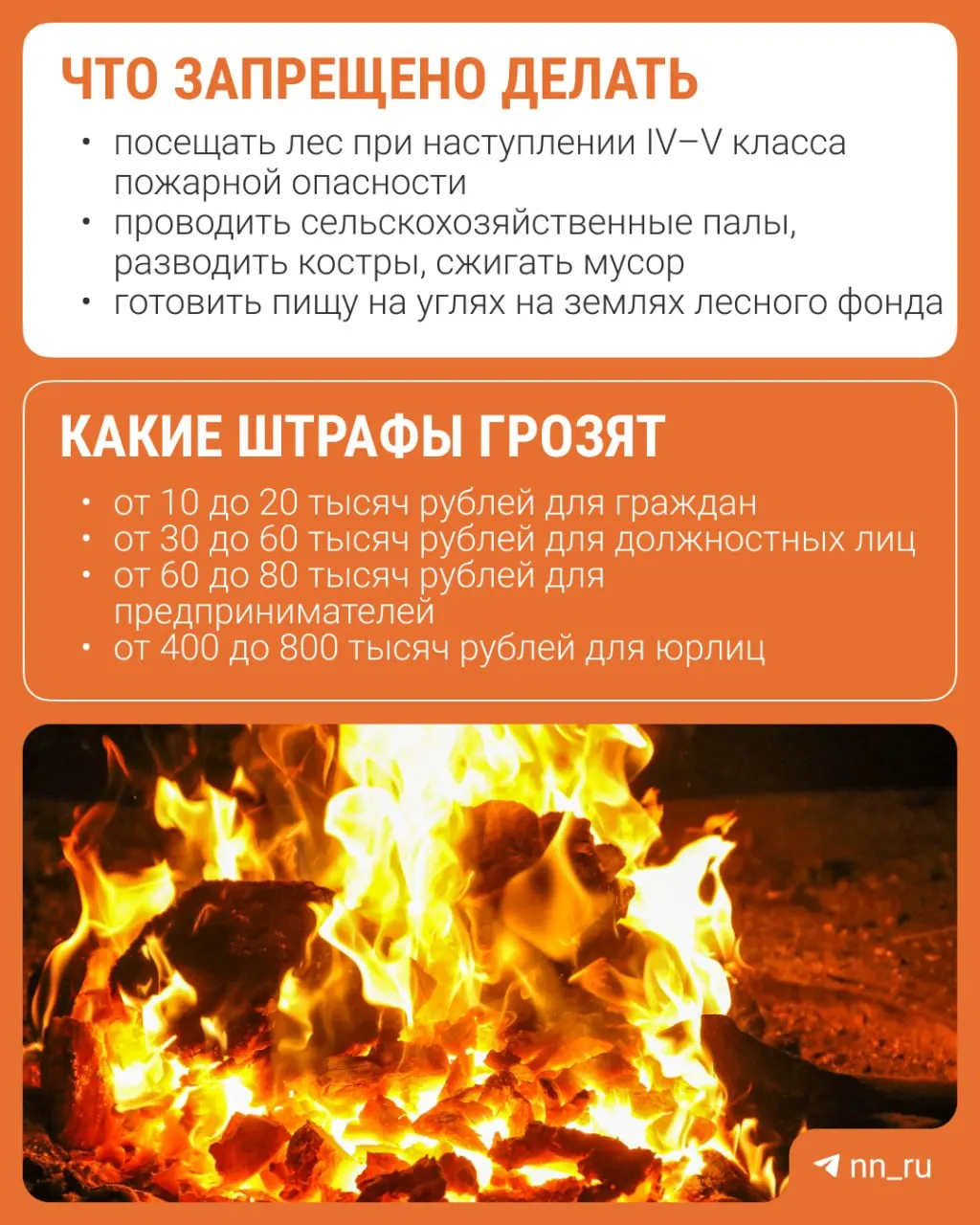 Запрещено разводить костры и сжигать мусор — объясняем, какие штрафы грозят за нарушения.