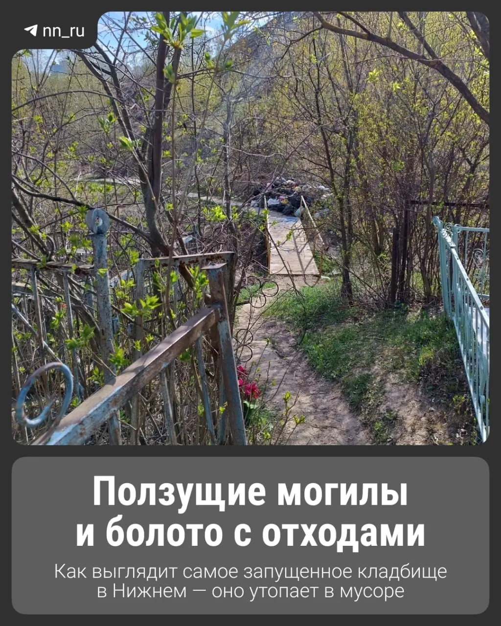 Кладбище за улицей Ванеева частично уходит в заболоченную низину: могилы подмывает вода и мусор, хотя люди по‑прежнему приходят навещать родственников.