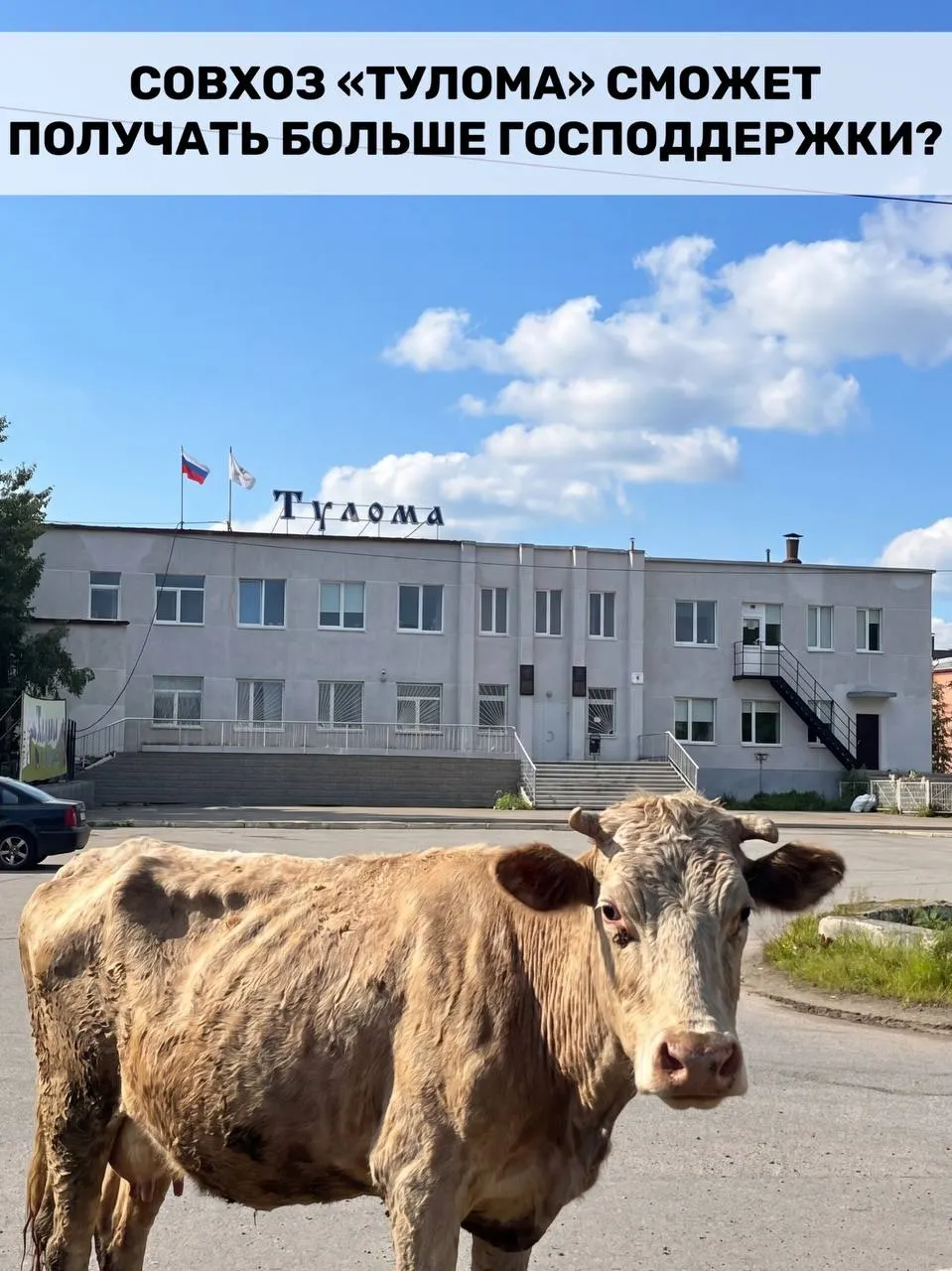 Минсельхоз изменил правила: федеральную поддержку теперь смогут получать и хозяйства, где более 25% принадлежит государству или муниципалитету. Для Мурманской области, где значительная часть молочной продукции производится такими предприятиями, это важно — но на фоне проблем на отдельных хозяйствах жители опасаются, что помощь придёт слишком поздно.