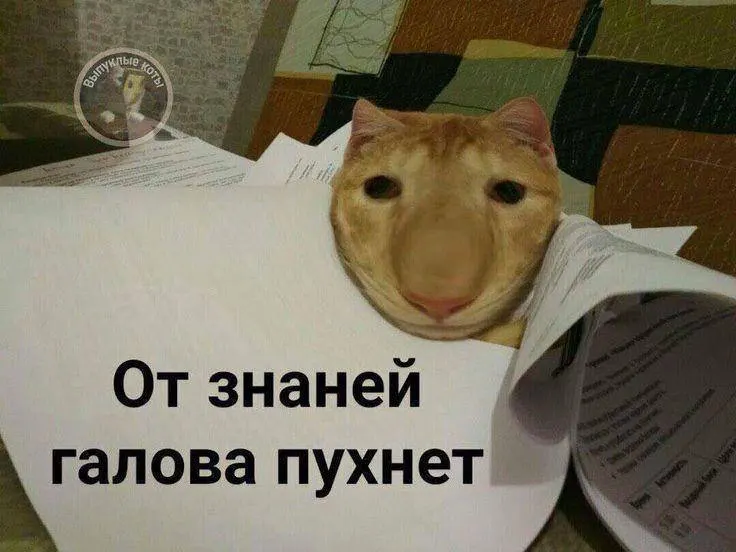 Минспорт сообщил, что норму по управлению небольшим дроном (75 мм) могут ввести в тестовом режиме в этом году; значок ГТО даст до 10 баллов к результатам экзамена.