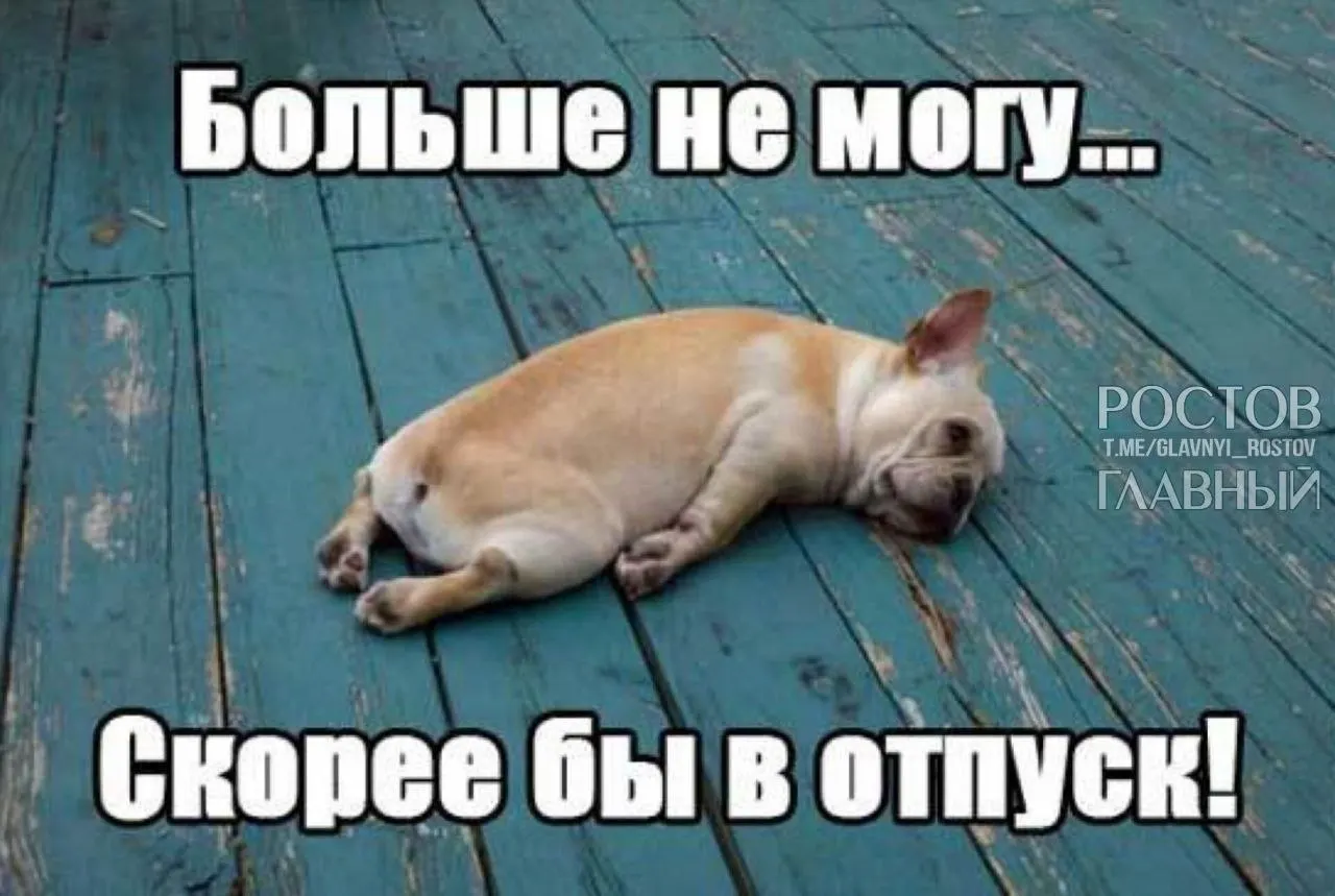 Депутаты предлагают повысить минимальную продолжительность ежегодного оплачиваемого отпуска с 28 до 35 дней, чтобы компенсировать включённые в отпуск выходные и помочь избежать выгорания.