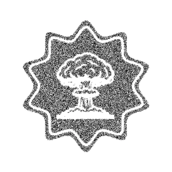 Совместные учения по подготовке и применению ядерного оружия стартовали 21 мая; в них участвуют силы обеих стран и отрабатываются действия с тактическим оружием, размещённым в Белоруссии.