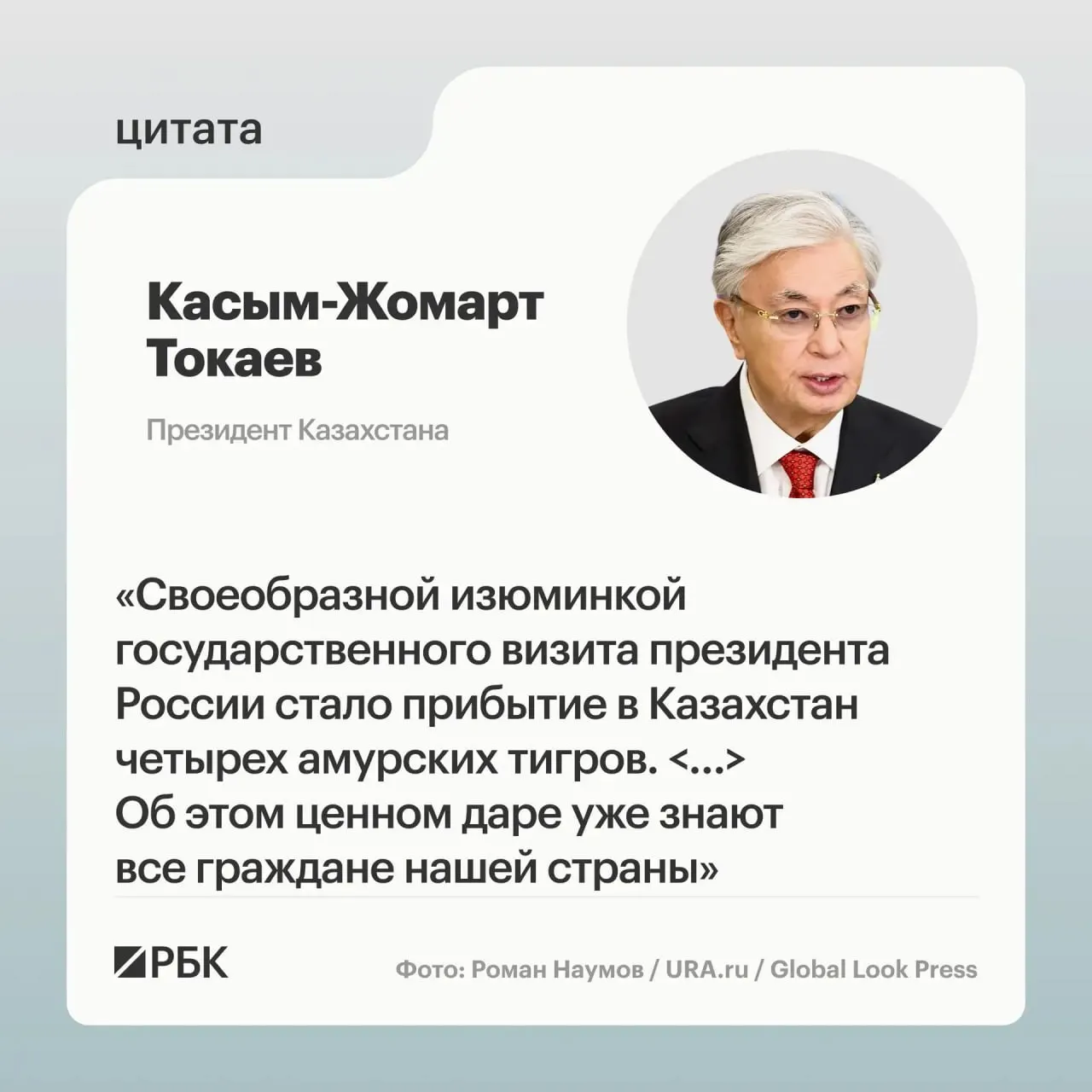Президентам России и Казахстана показали презентацию о амурских тиграх, которые были переданы Астане по просьбе Казахстана о восстановлении популяции.