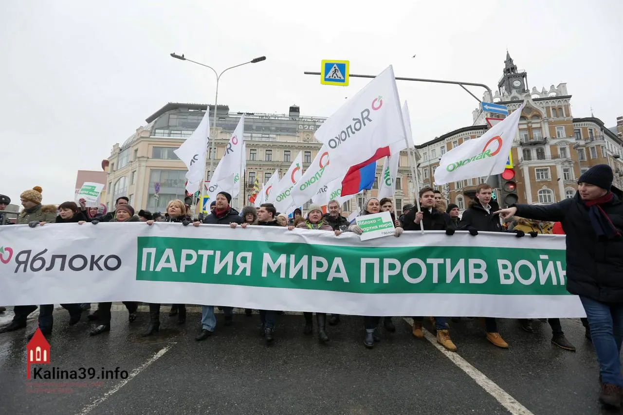 Регистрация федерального списка «Яблока» в Госдуму рассматривается как способ канализировать протестные настроения в безопасное для власти русло — при этом многие известные представители партии лишены возможности участвовать в выборах.