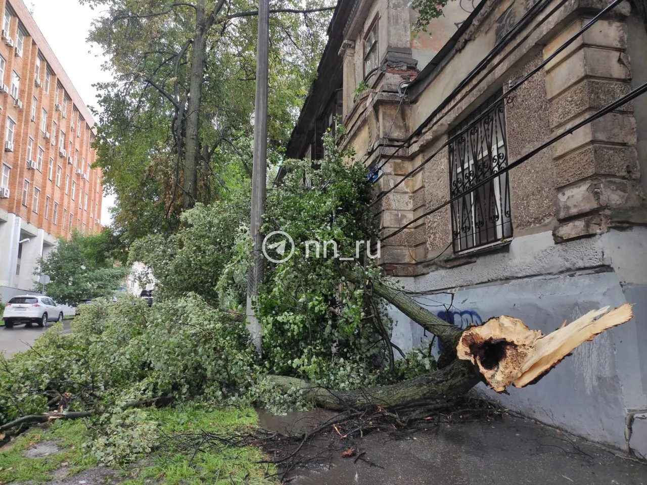 На Провиантской полностью перекрыта пешеходная дорожка, на Сенной площади ветки упали на проезжую часть.