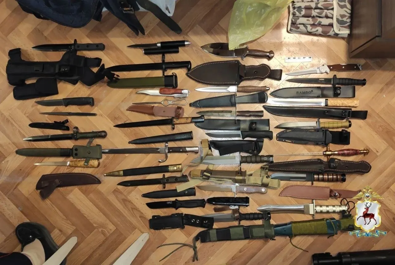В квартире 67-летнего доцента в Нижнем Новгороде нашли почти 600 патронов, свыше 200 ножей и детали огнестрельного оружия. У мужчины уже была судимость по той же статье.