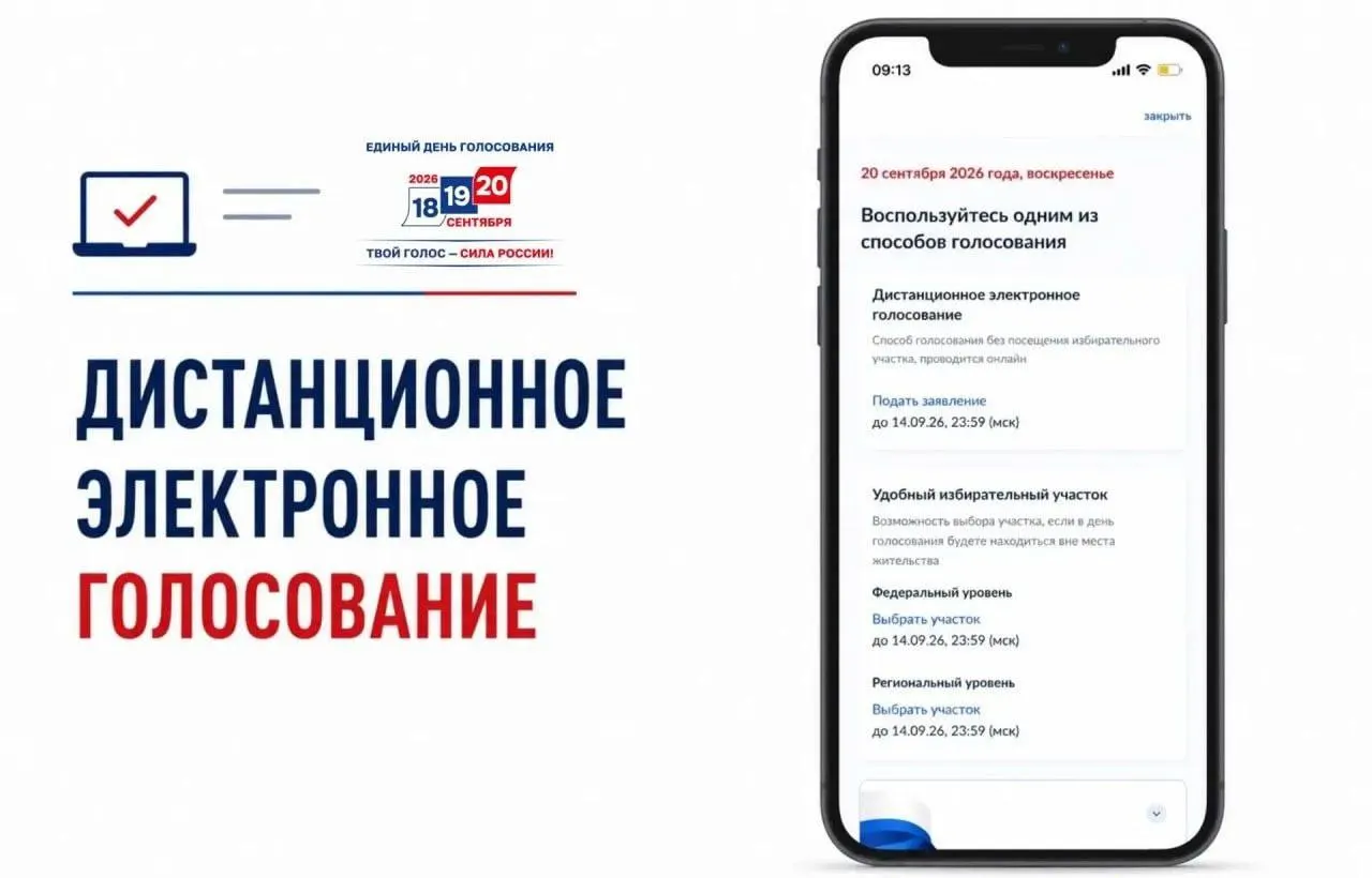 Стартовал процесс подачи заявлений на участие в дистанционном электронном голосовании; критики отмечают риски непрозрачности и возможные нарушения.