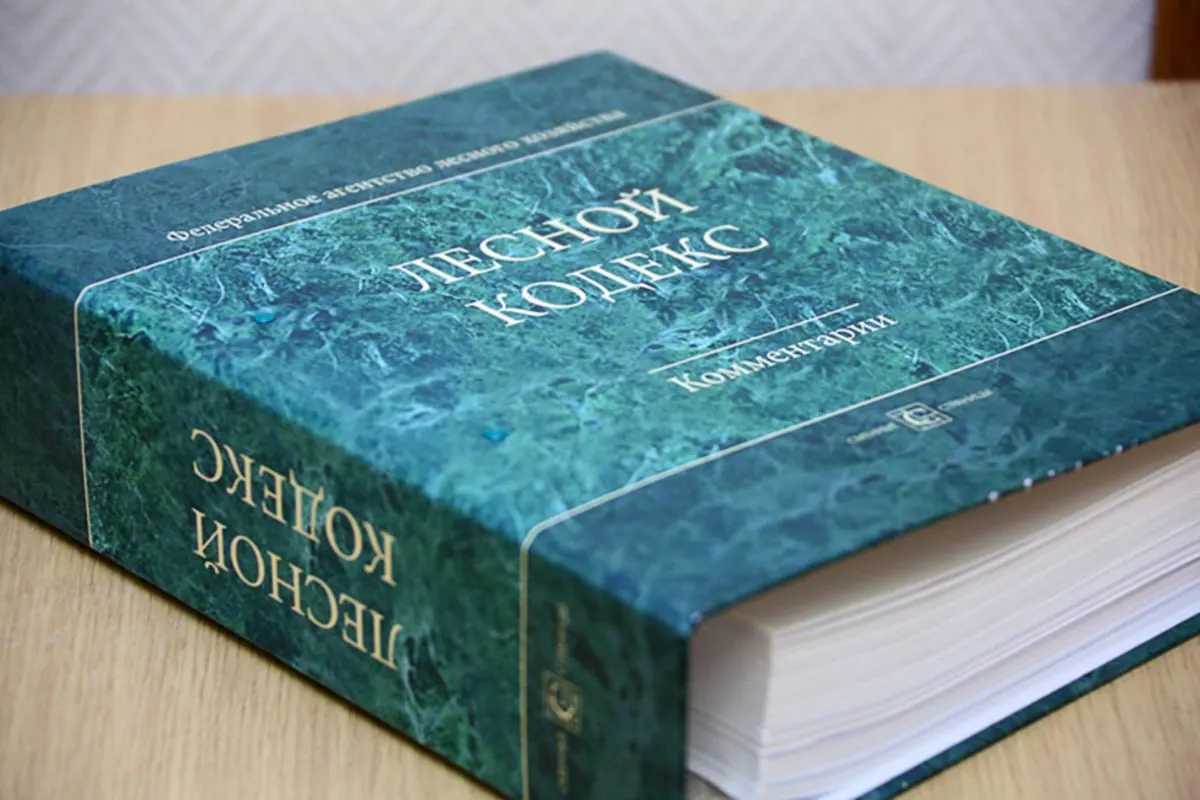 За два десятилетия в Лесной кодекс внесено 79 наборов поправок; эксперт считает, что документ нужно существенно упростить и заменить, чтобы снизить риски для бизнеса и специалистов.