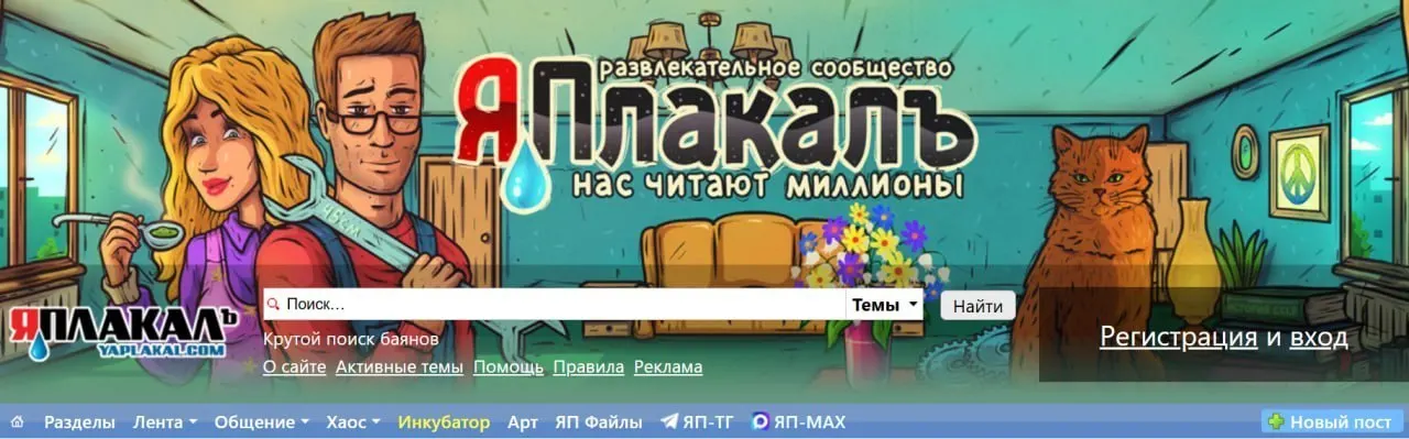 Чертановский районный суд Москвы постановил заблокировать доступ к сайту после выявления материалов, унижающих человеческое достоинство и содержащих национальные или расовые оскорбления; такие публикации были доступны без регистрации.