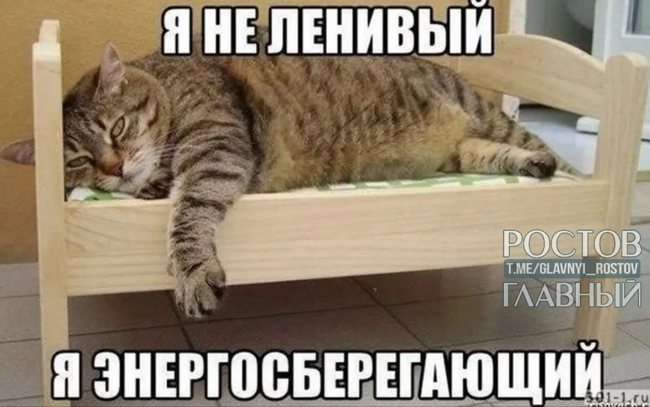 Опрос показал, что наибольшая доля сторонников шестичасового рабочего дня сконцентрирована в Нижнем Новгороде, Перми и Воронеже; жители Санкт-Петербурга чаще всего заявили, что предпочли бы вовсе не работать, а трудоголики живут в Краснодаре и Ростове-на-Дону.