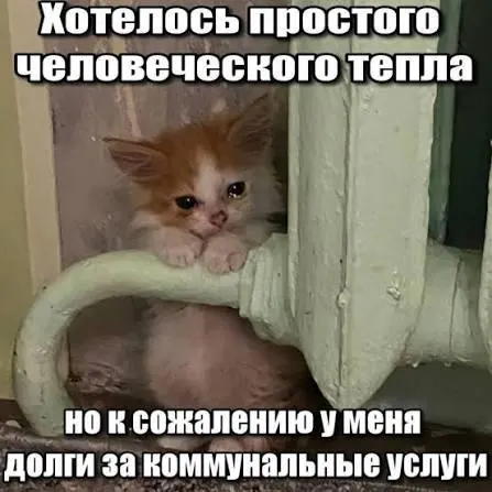 Суд подтвердил, что по гражданскому законодательству срок исковой давности — три года, поэтому требования о взыскании старых платежей за капремонт не подлежат принудительному исполнению.