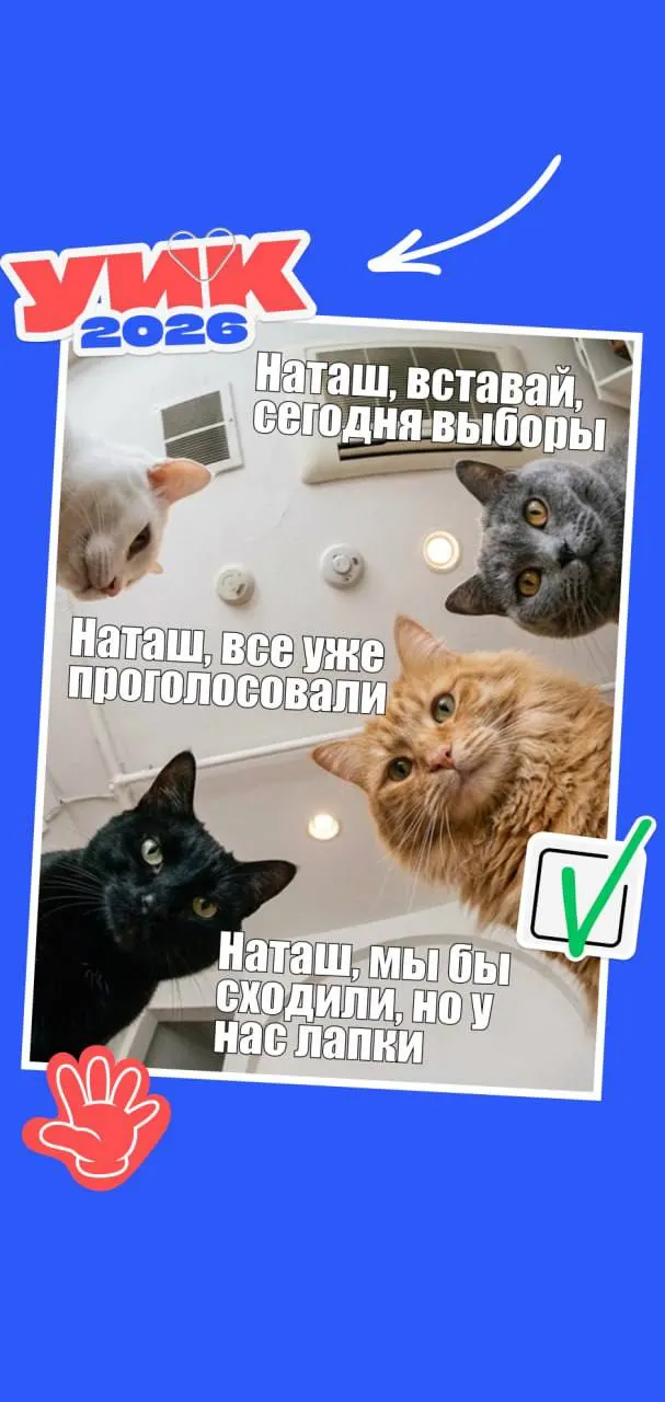 Краткий гид: даты голосования, кого будут выбирать, кто имеет право участвовать и какие документы брать с собой. В конце — пара мемов для настроения.