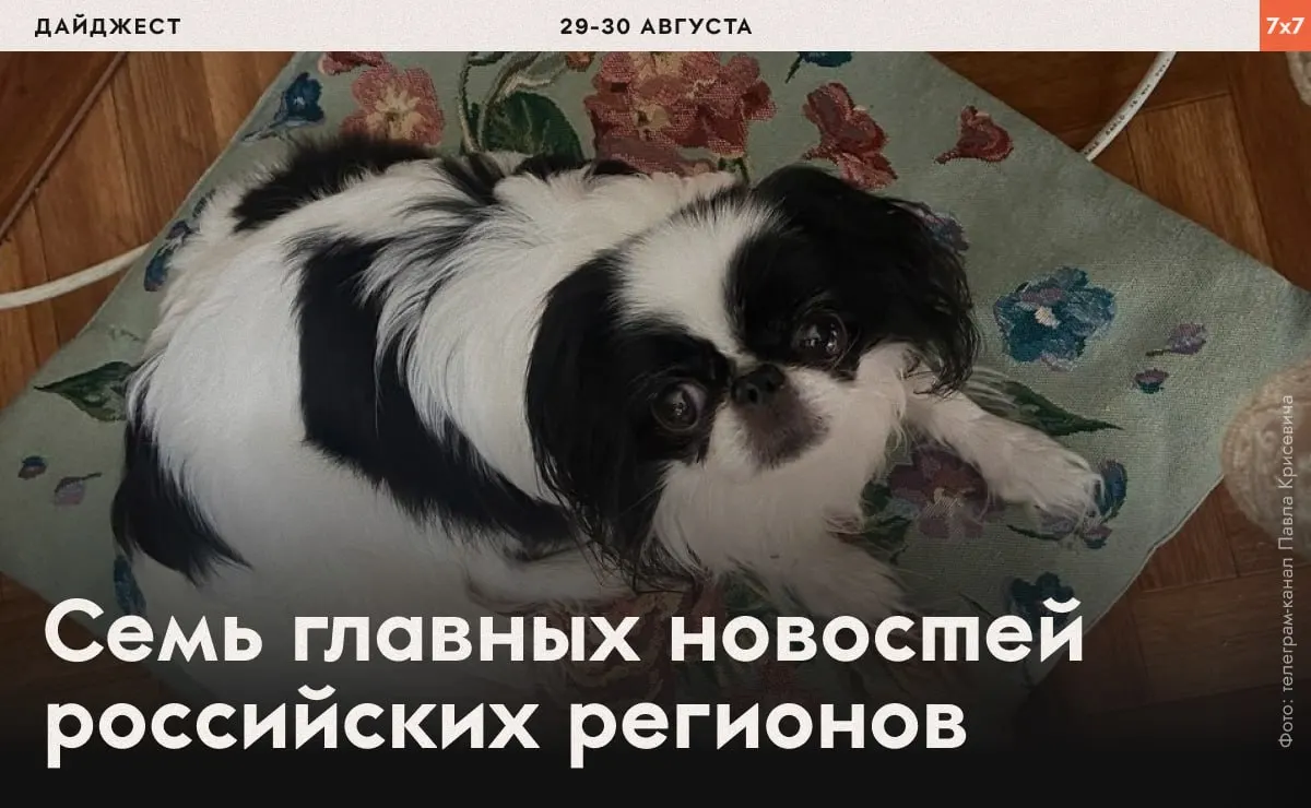 В нескольких регионах фиксируются случаи принуждений к физическим нагрузкам, давление на активистов и ограничения на мирную агитацию.