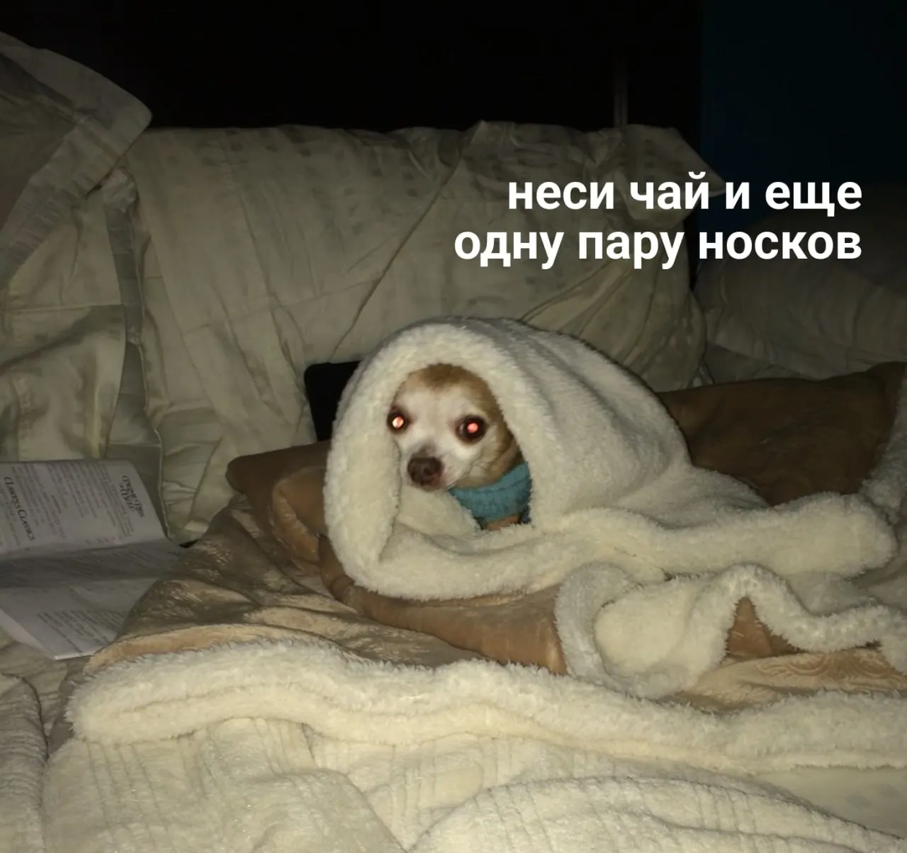 В Нижнем Новгороде стартовал отопительный сезон. Узнайте, как подается тепло и делитесь опытом в комментариях.