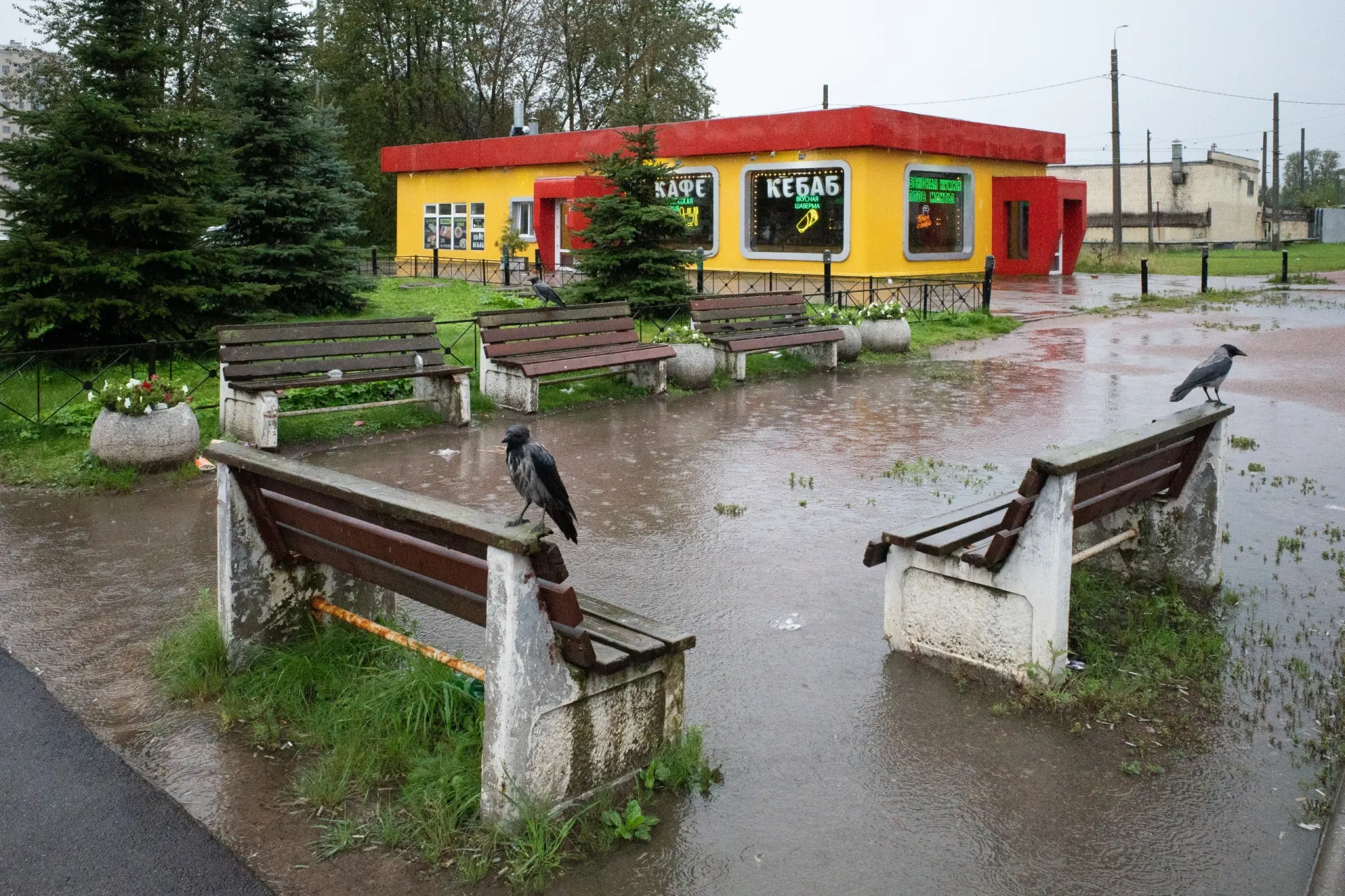 Коротко: новости Петербурга, России и мира — развод и другие важные события.