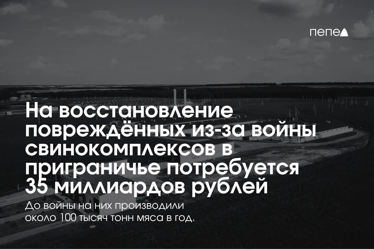 Региональные фермы Белгородской, Курской и Брянской областей несут дополнительные расходы на безопасность и восстановление после обстрелов и атак беспилотников.