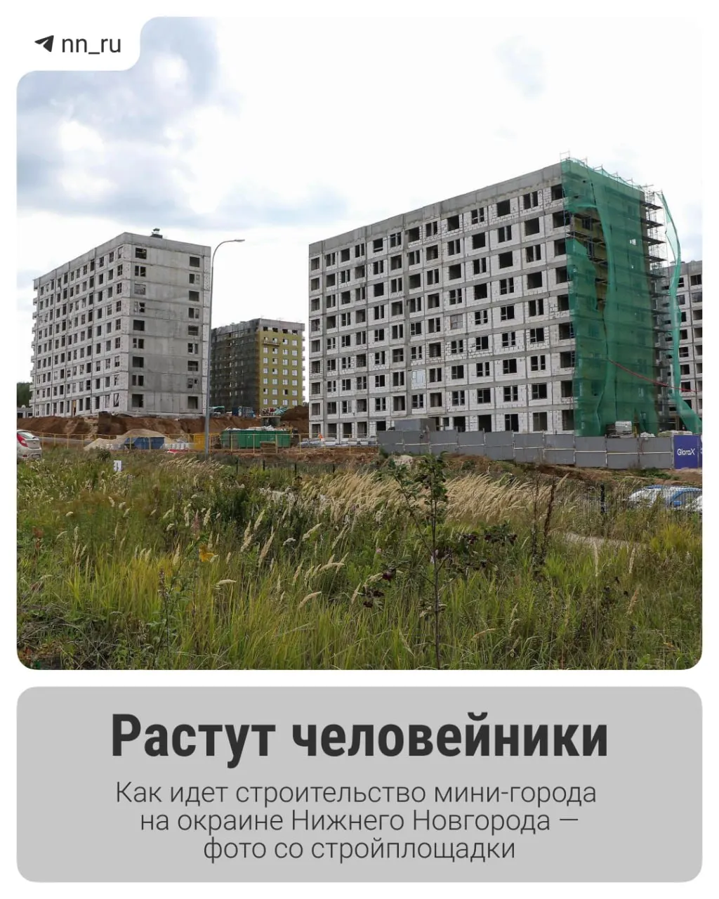 Районы Новинки и Ольгино получат десятки домов, школу и детский сад; ход работ освещаем в карточках.